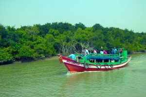 Bhitarkanika-National-Park