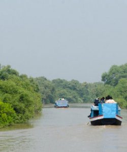 bhitarkanika-national-park (3)