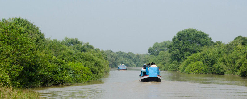 bhitarkanika-national-park (3) bhitarkanika-national-park (3)